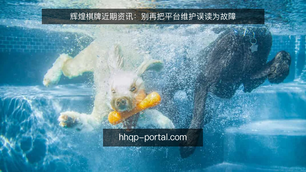 辉煌棋牌近期资讯:别再把平台维护误读为故障